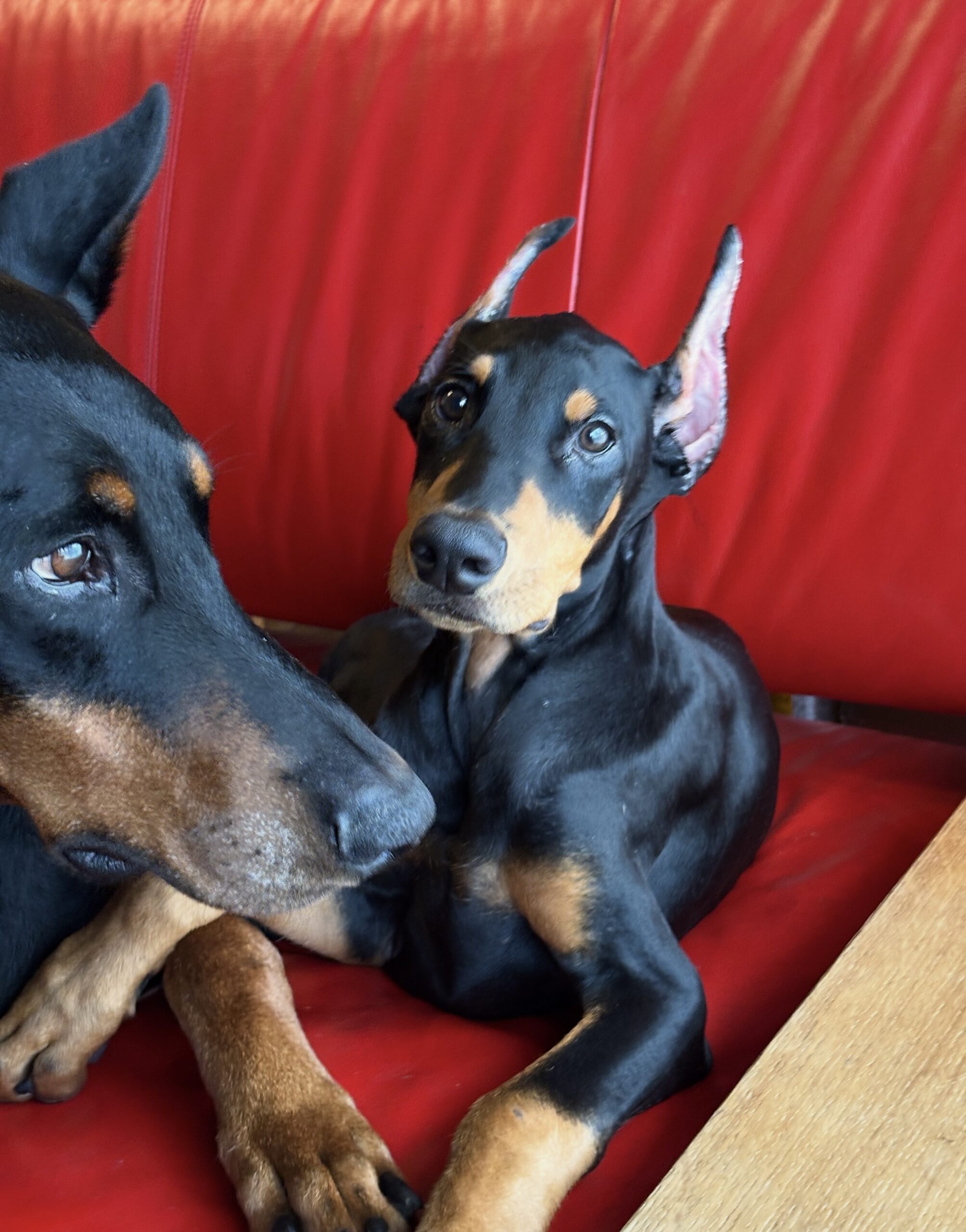 E255D557-9462-4963-B8A3-